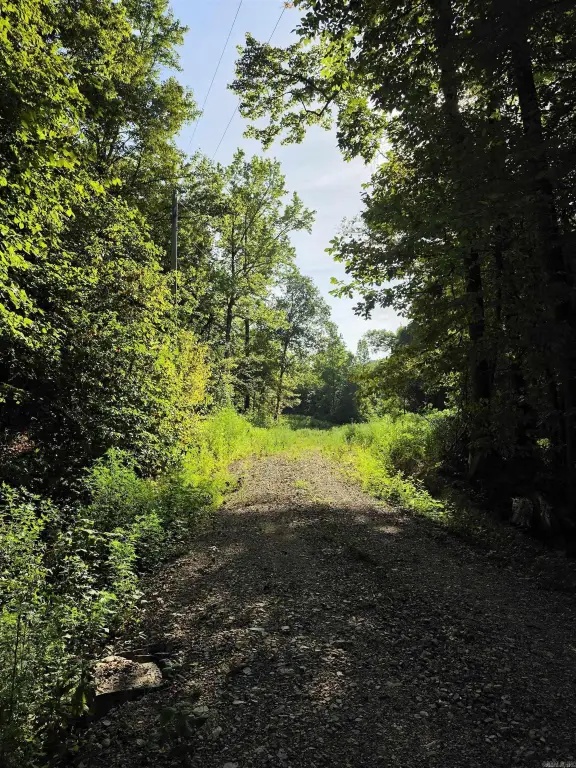 Picture 30