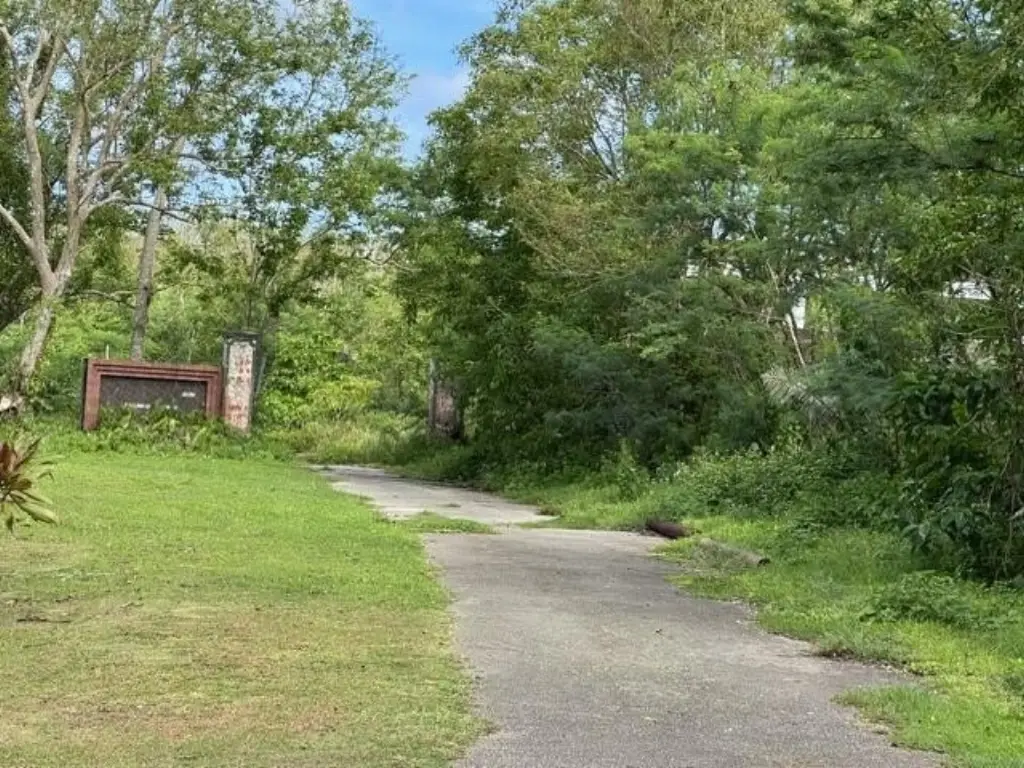 Picture 8