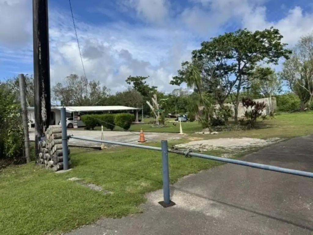 Picture 6