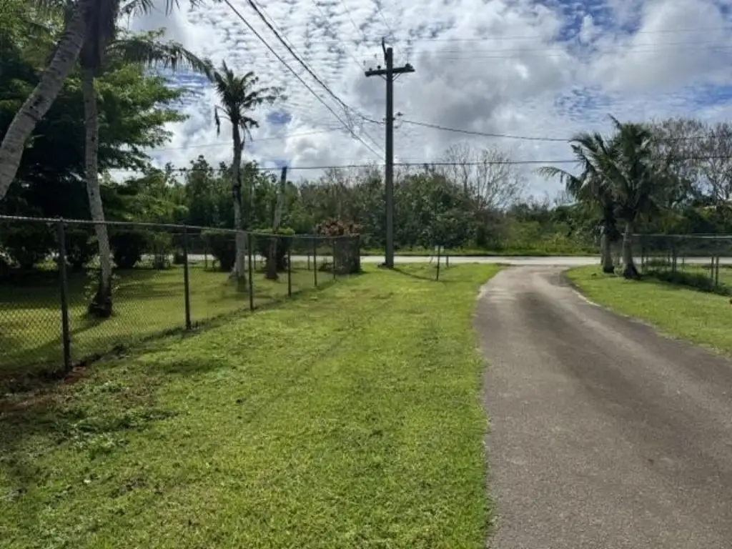 Picture 4