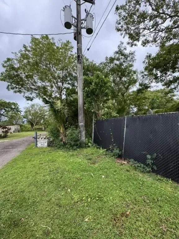 Picture 21