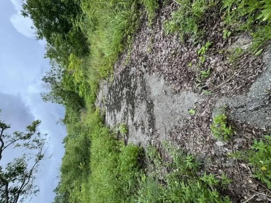 Picture 18