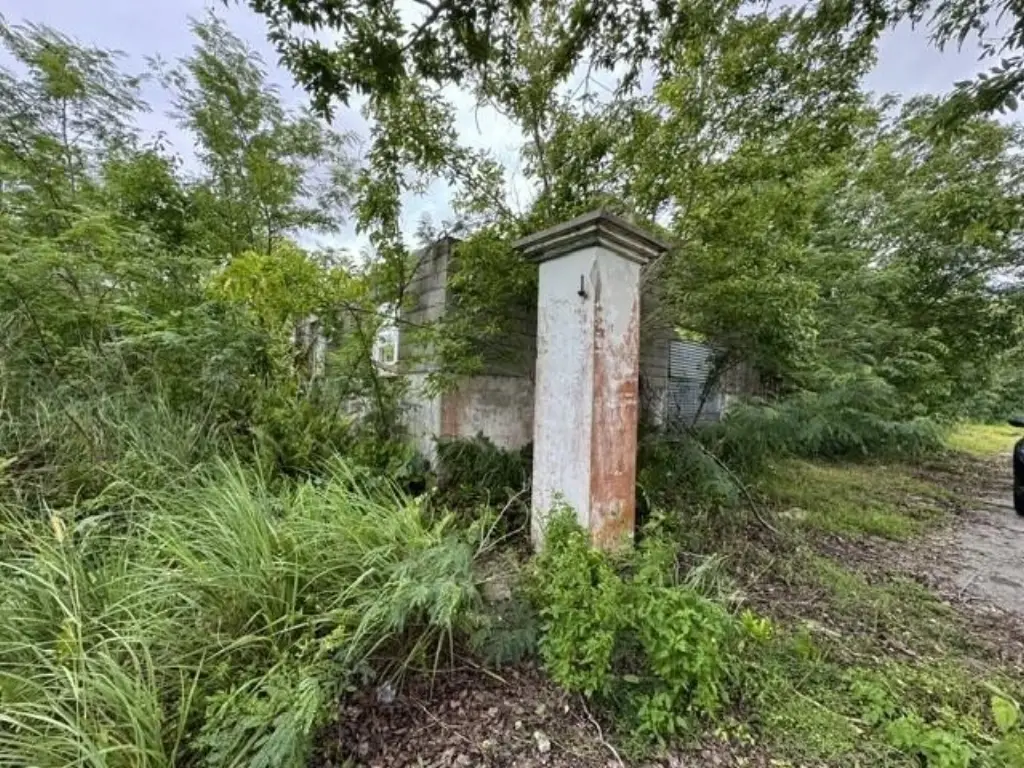 Picture 16