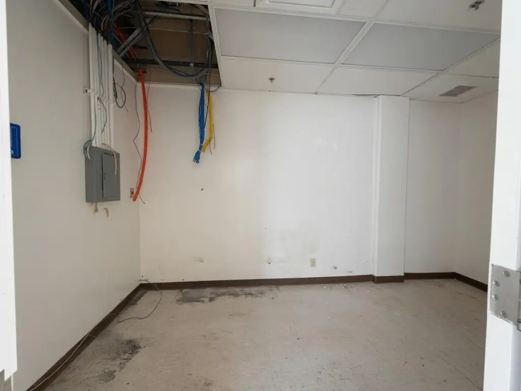 Picture 14