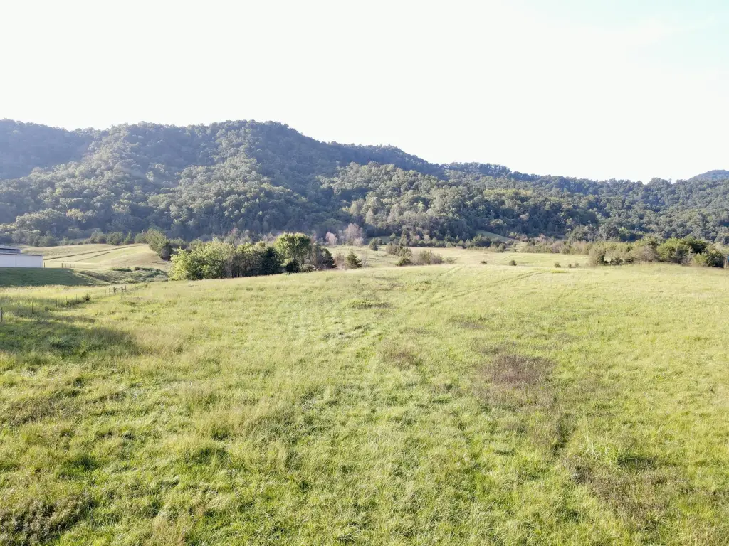 Picture 8