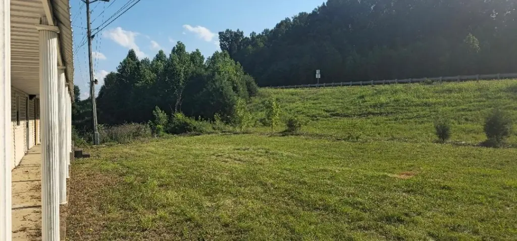 Picture 9