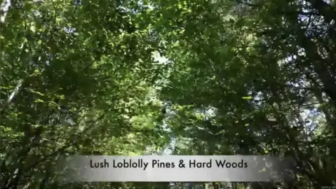 26.67 Acres in De Queen