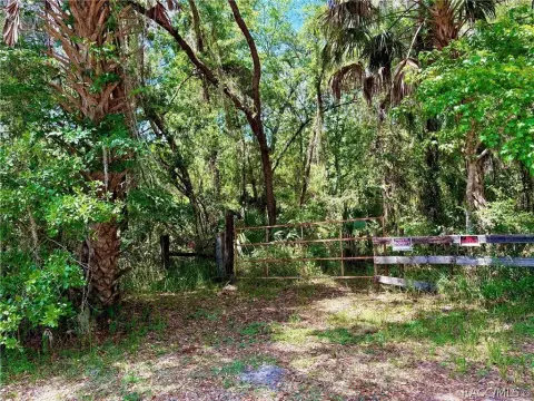 Brooksville Land with Timber