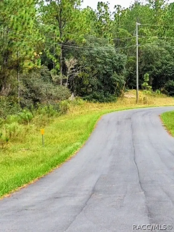 Picture 17