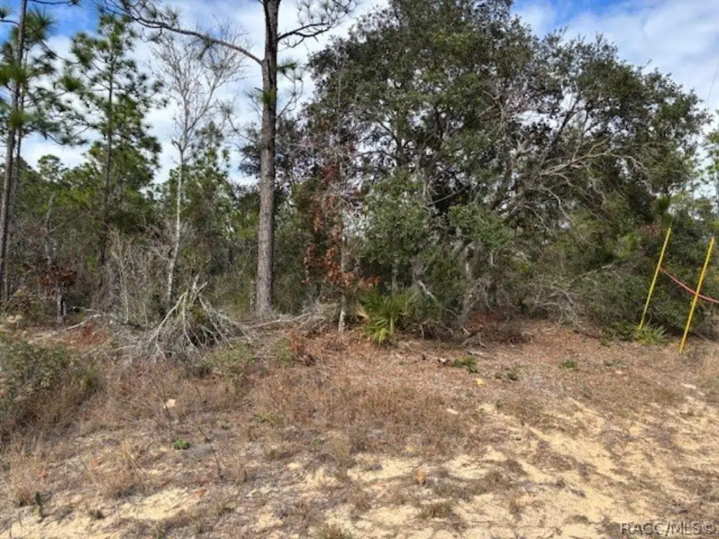 Picture 10