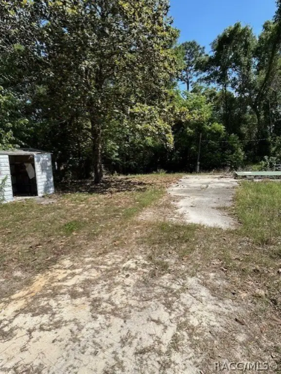 Picture 3