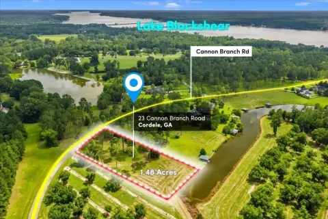 Lake Blackshear Waterfront Acreage