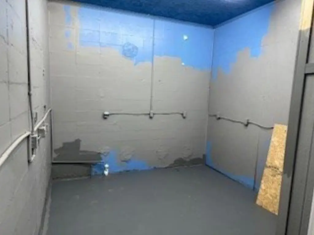 Picture 11