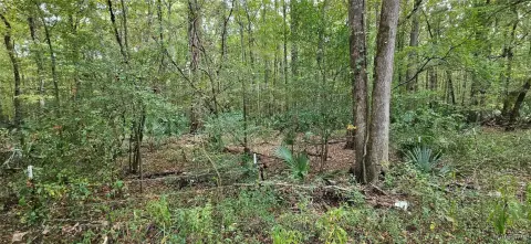 Montgomery Hunting Land For Sale