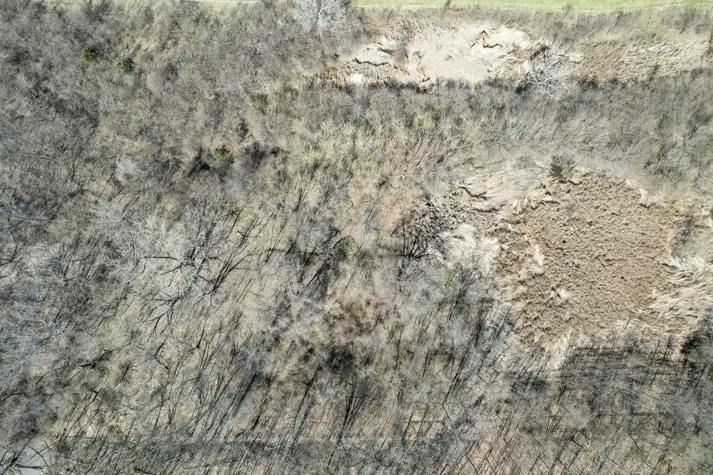 Picture 13