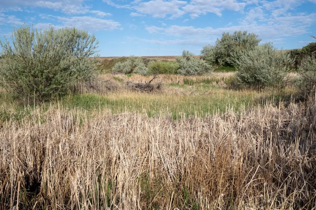 Picture 30