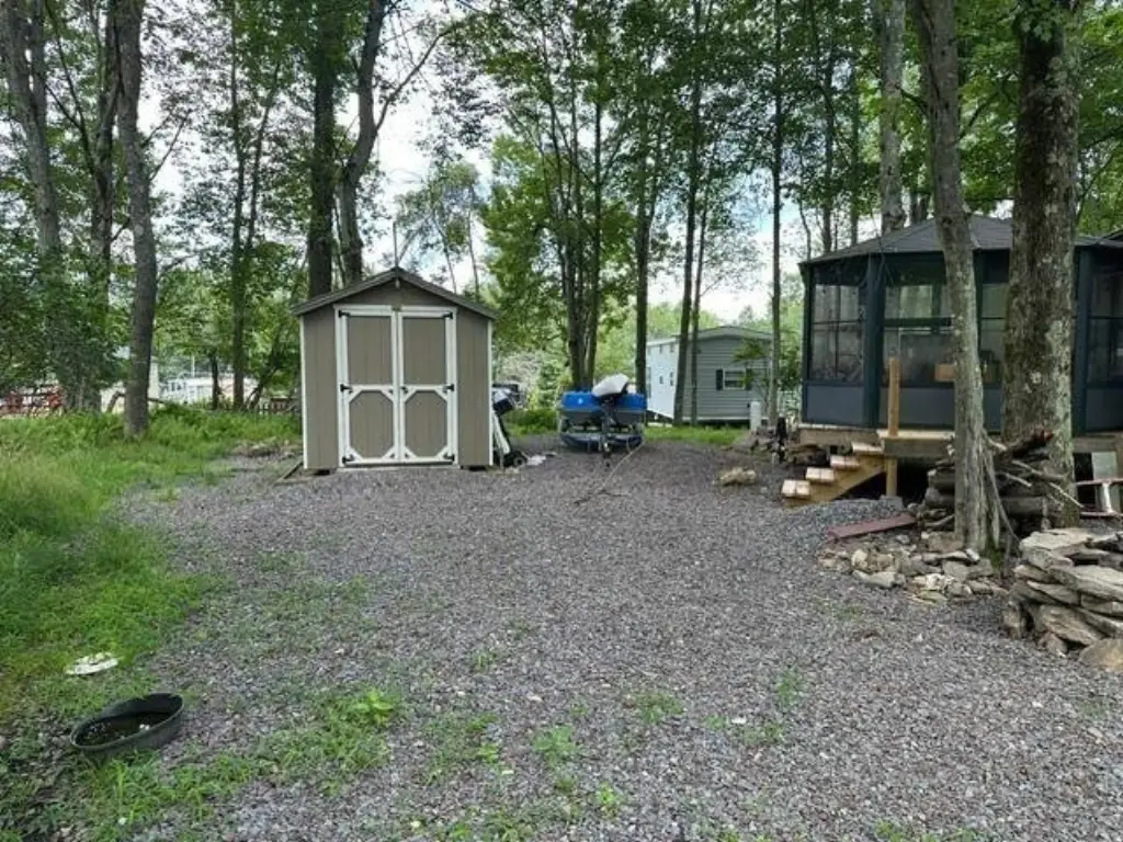 Picture 11