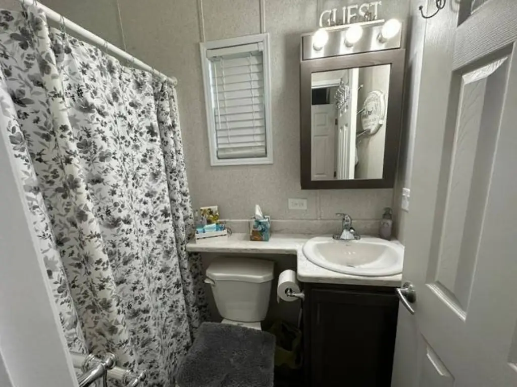 Picture 8