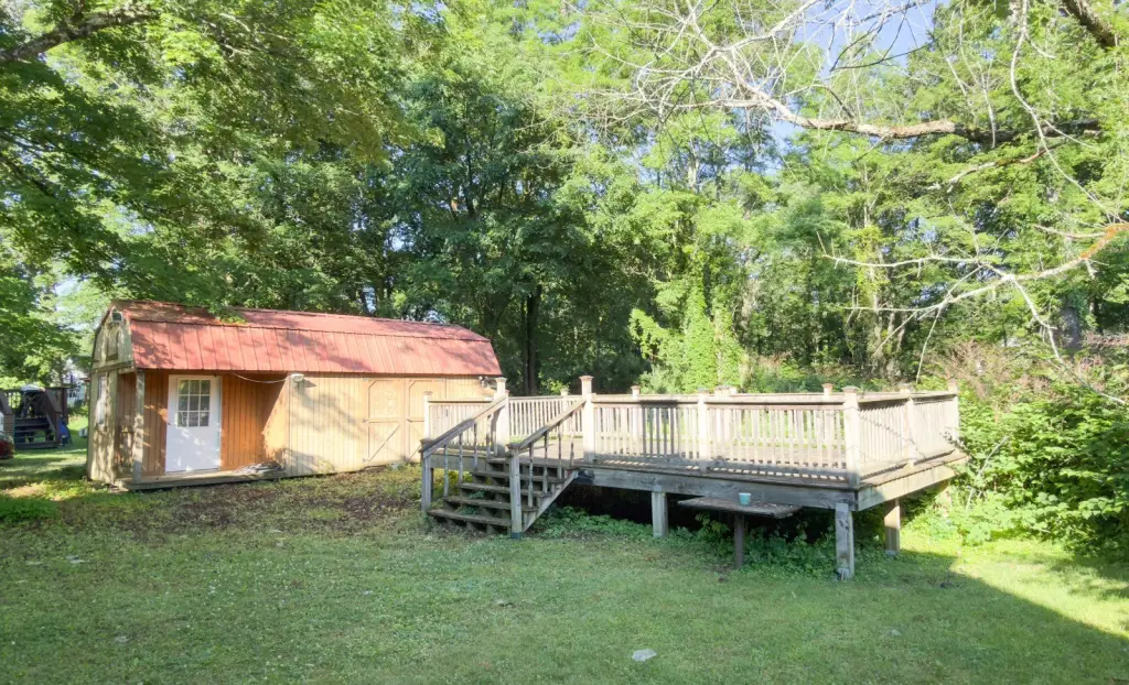 Picture 5