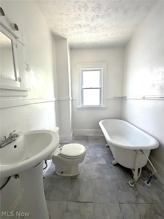 Picture 42