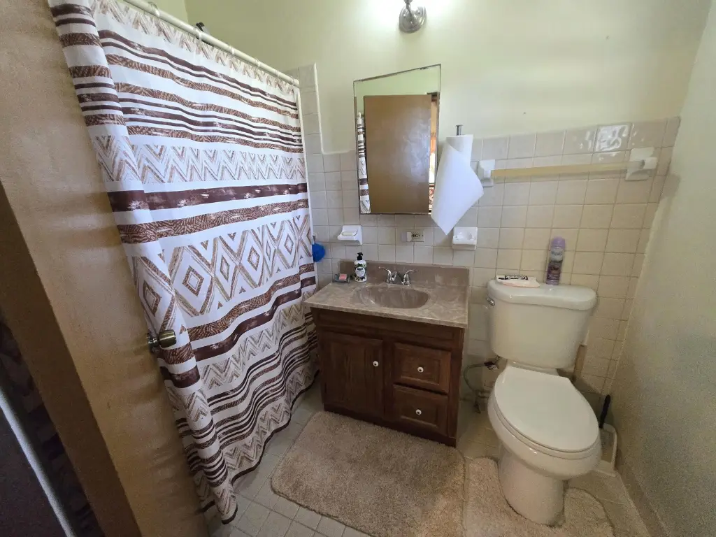 Picture 41
