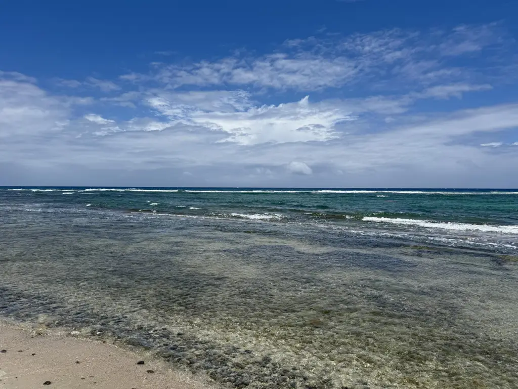 Picture 5