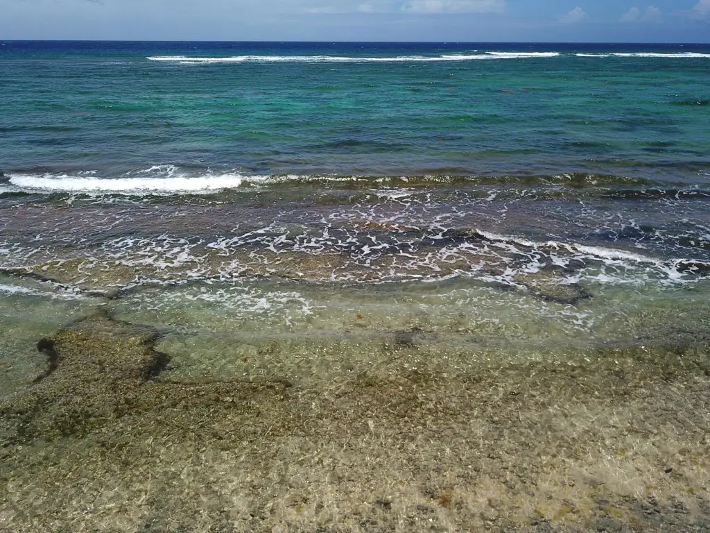Picture 10