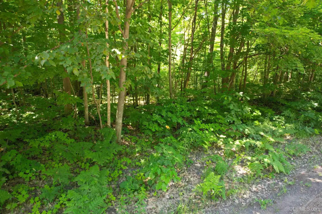 Picture 20