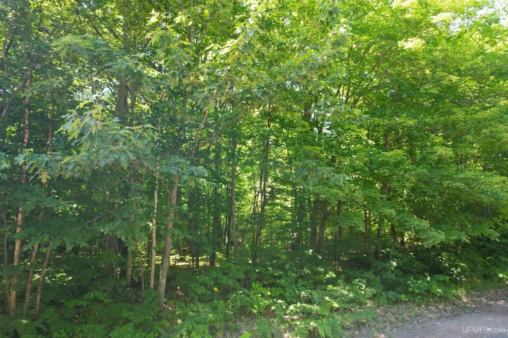 Picture 22