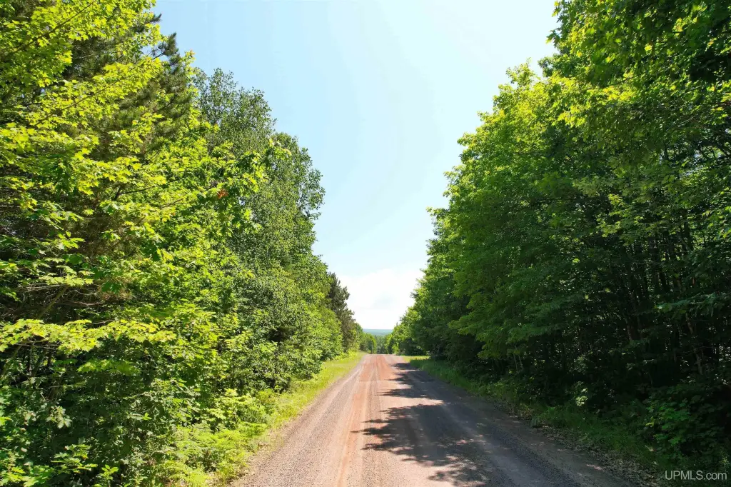 Picture 23