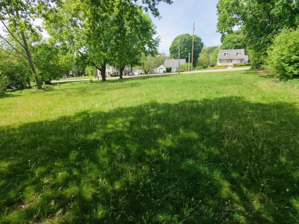 Picture 2