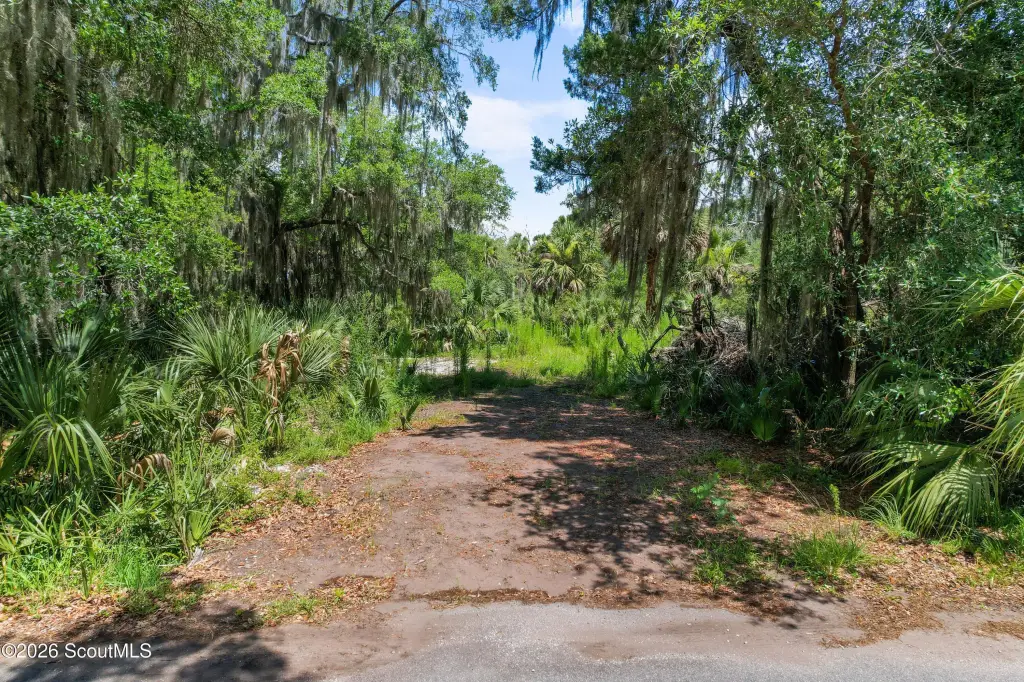 Picture 18