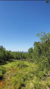 Fairbanks Land Opportunity