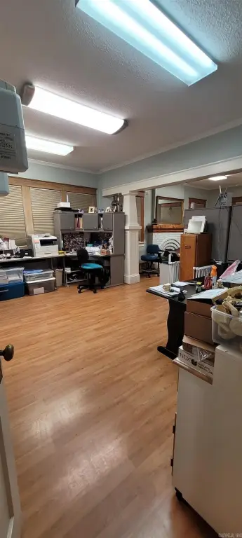 Picture 15