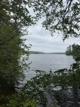 Ayers Lake Waterfront Land Opportunity