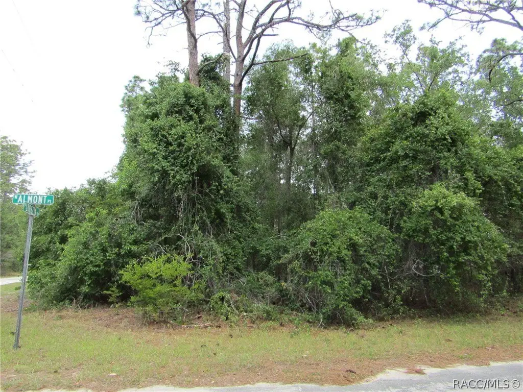 Picture 2