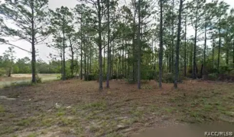 Residential Land in Dunnellon, FL