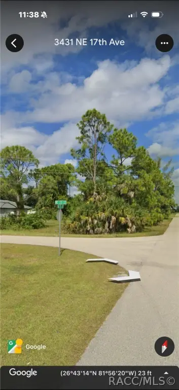 Picture 5