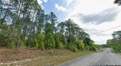 Citrus Springs Quarter Acre Parcel