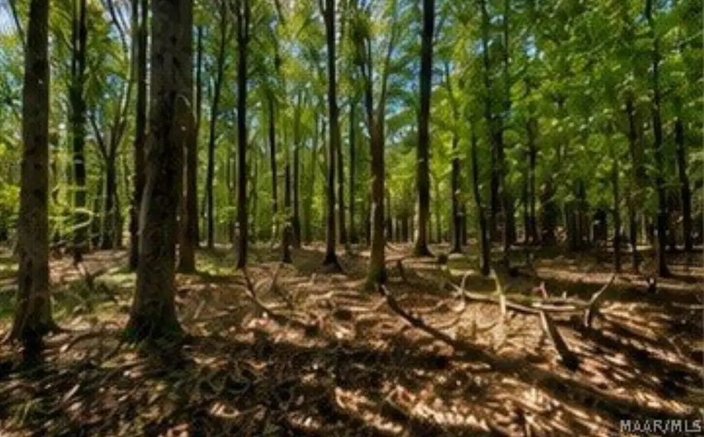 Picture 9