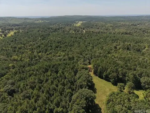 Wooded Hunting Land