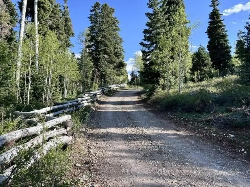 Picture 2