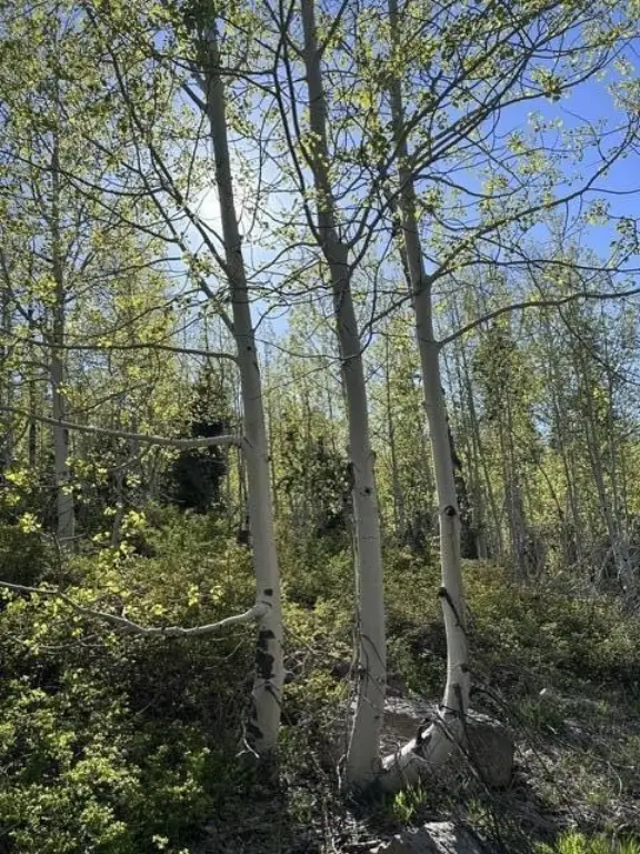 Picture 10