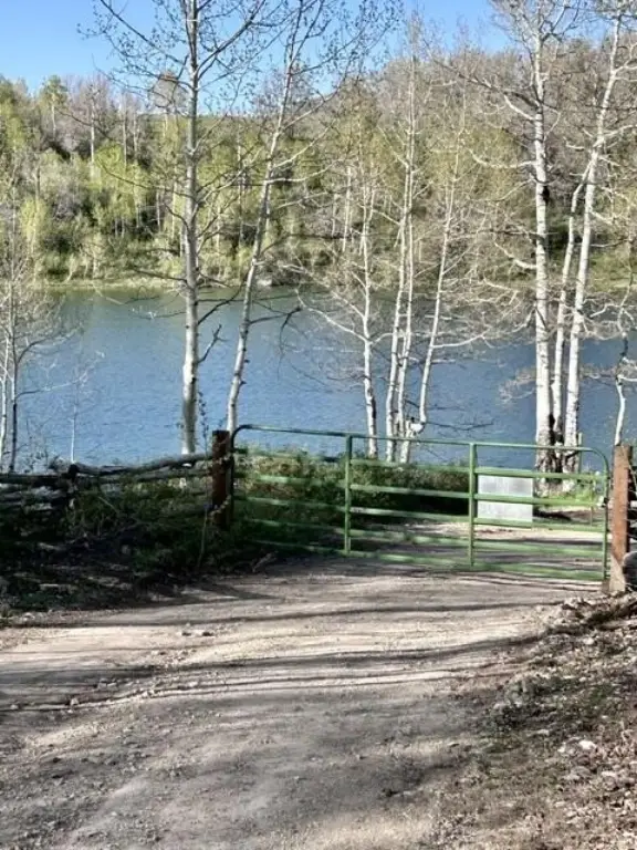 Picture 3