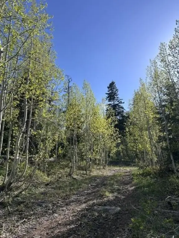 Picture 11