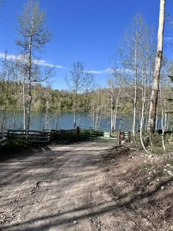 Picture 18