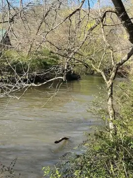 Hayesville Vacant Lot Near River