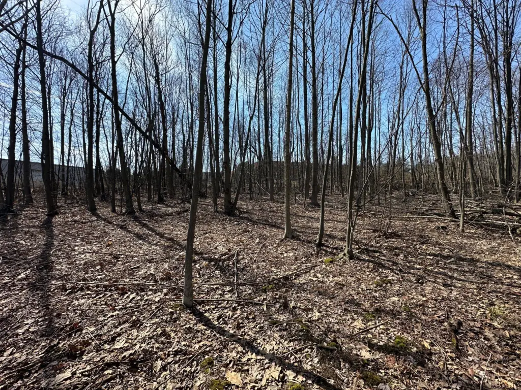 Picture 30