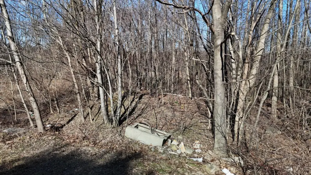 Picture 68