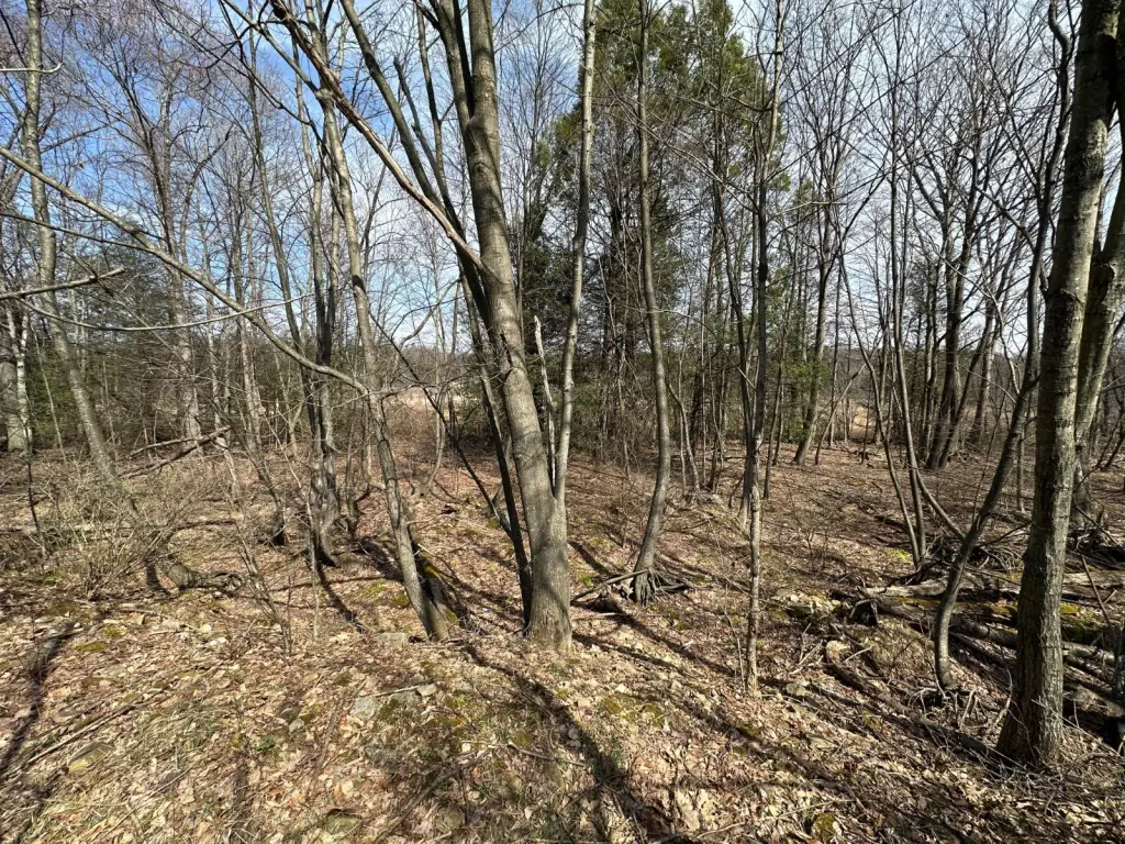 Picture 21